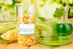 Basingstoke biofuel availability